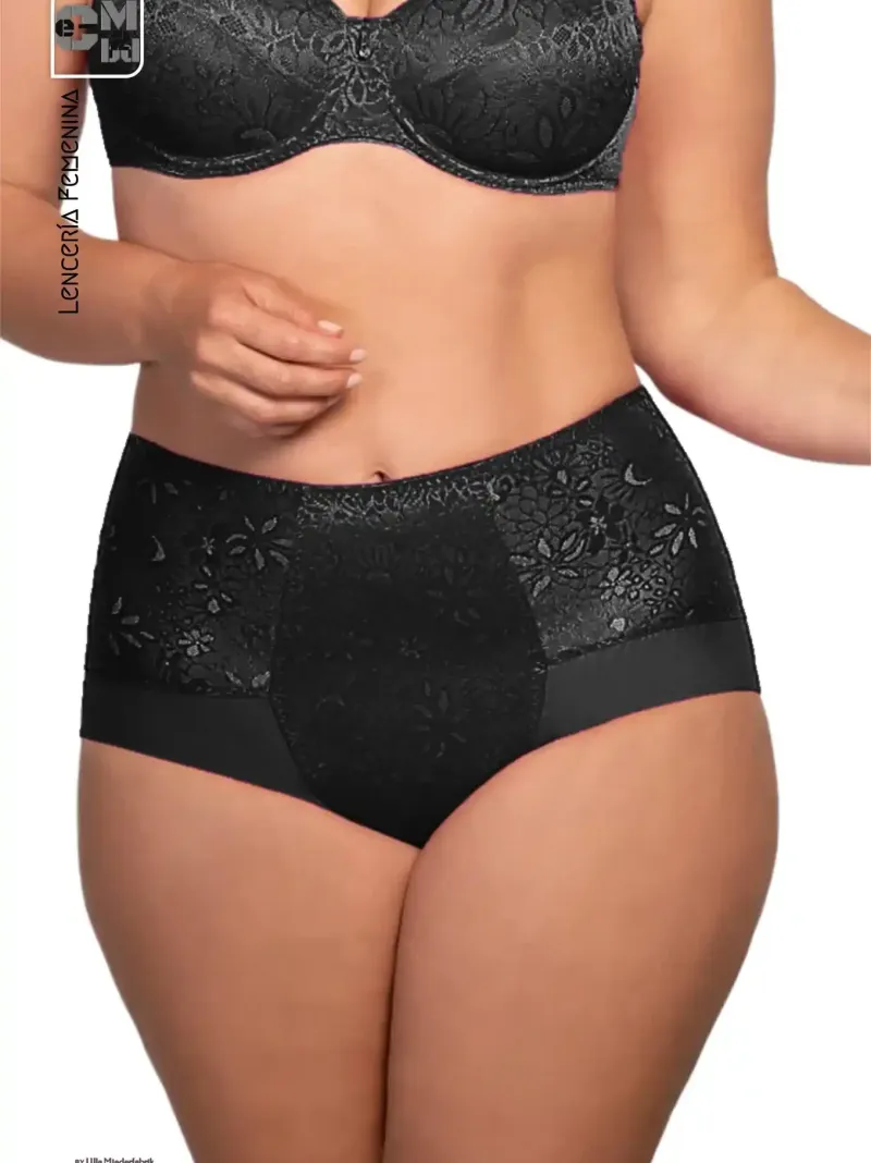 3810 Bragas cintura Alta Alice